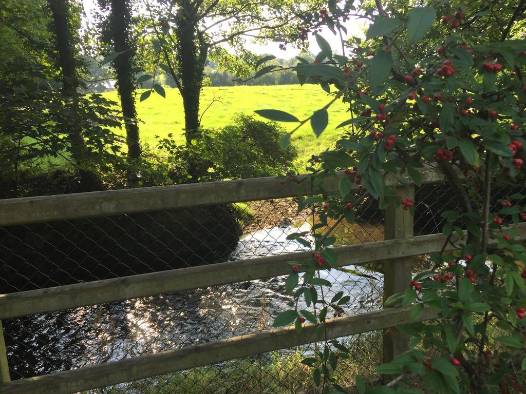 Riverbank, Country Pub And Guesthouse Carrickmacross Exteriör bild